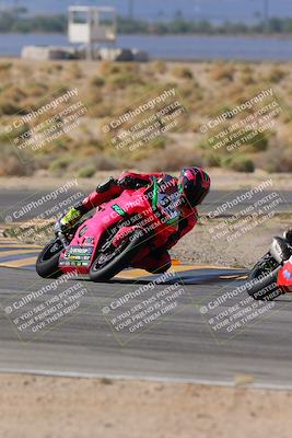 media/Oct-08-2023-CVMA (Sun) [[dbfe88ae3c]]/Race 2 Supersport Middleweight (Shootout)/